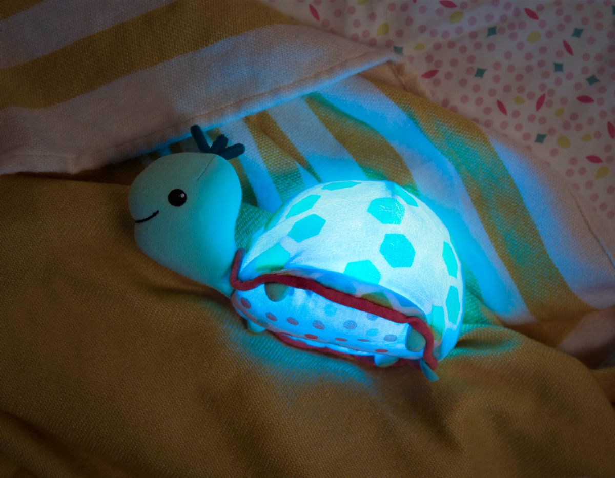 Glow Zzzs - Shellé