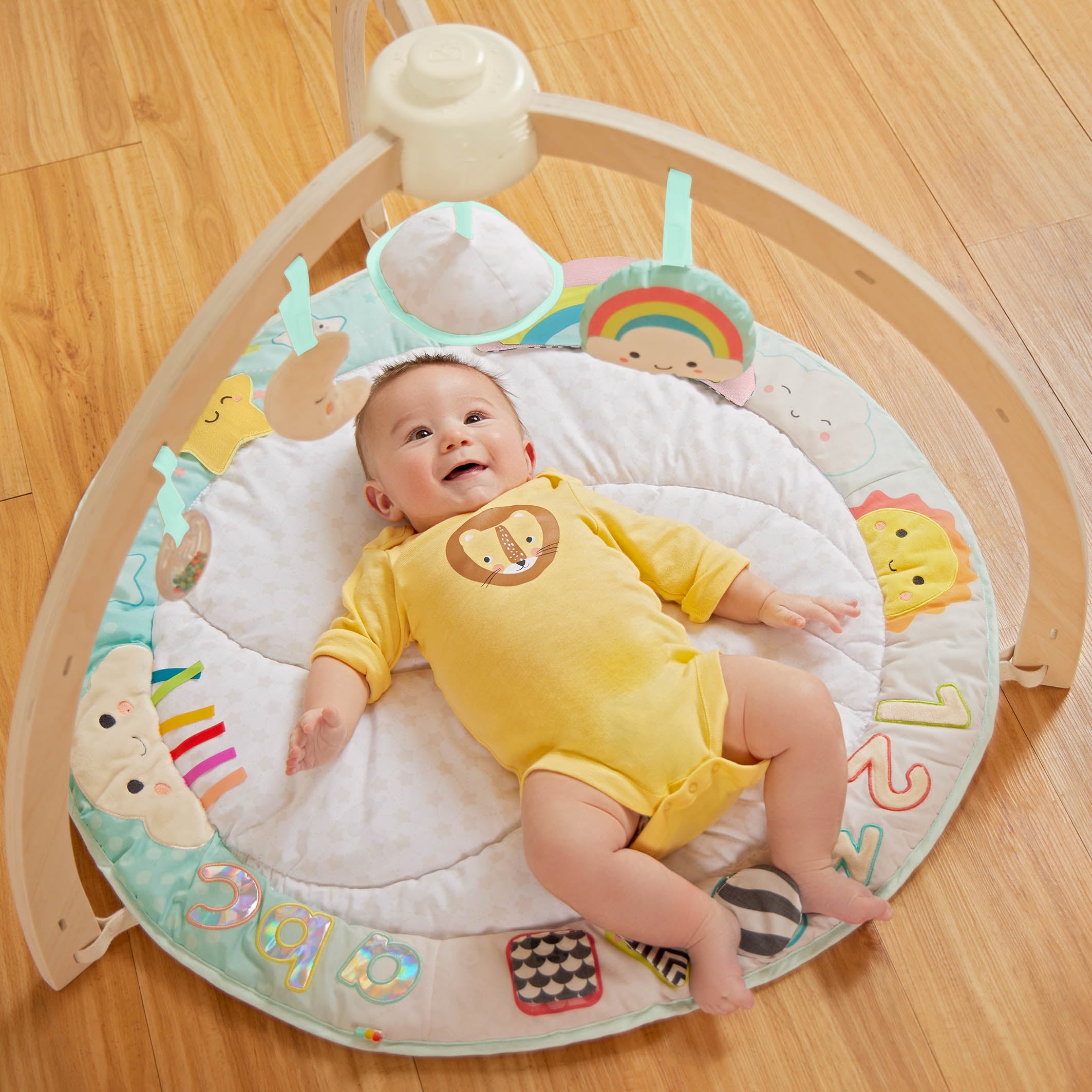Sunset Play Gym