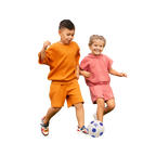 Soccer Net & Ball