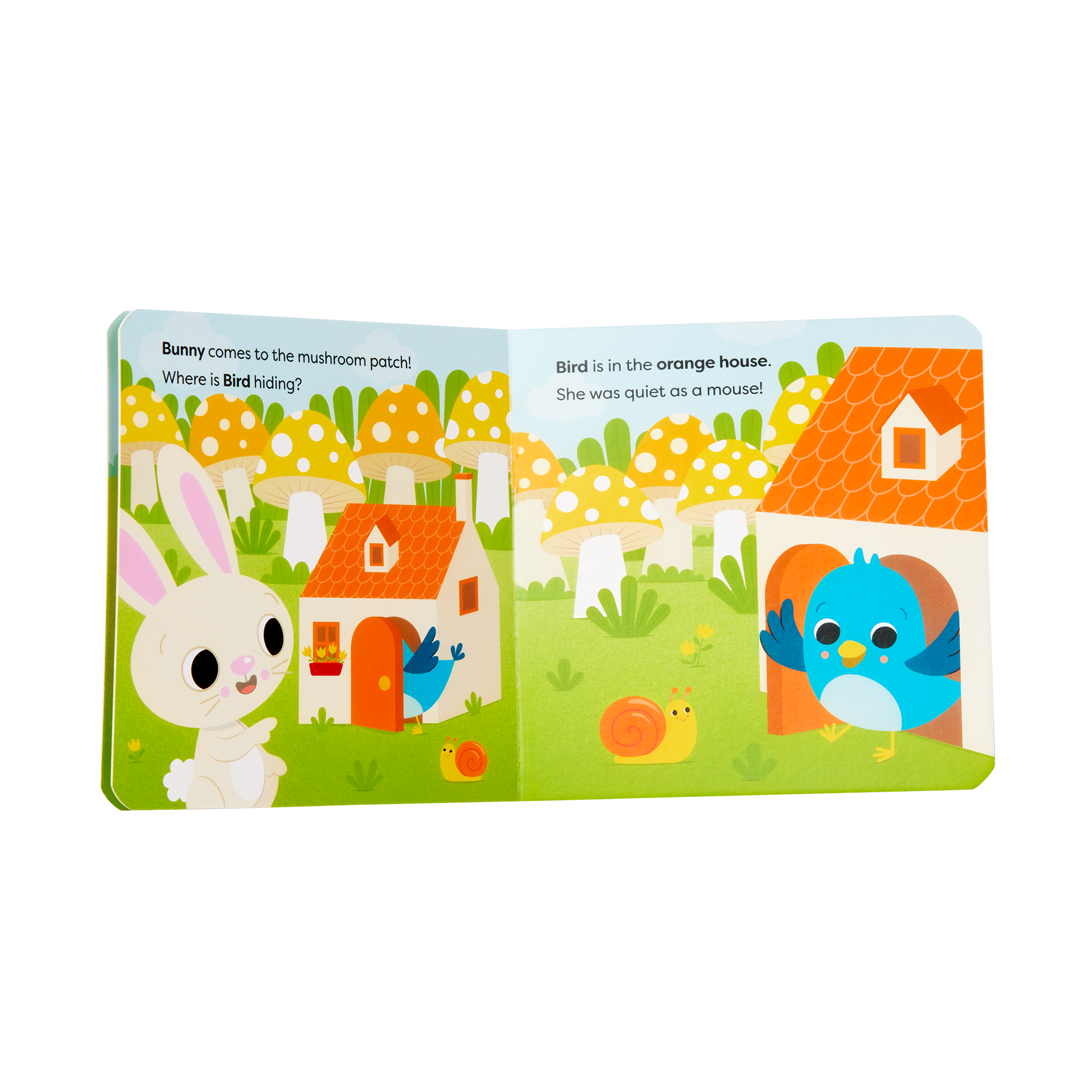 Lil' Learning Cube