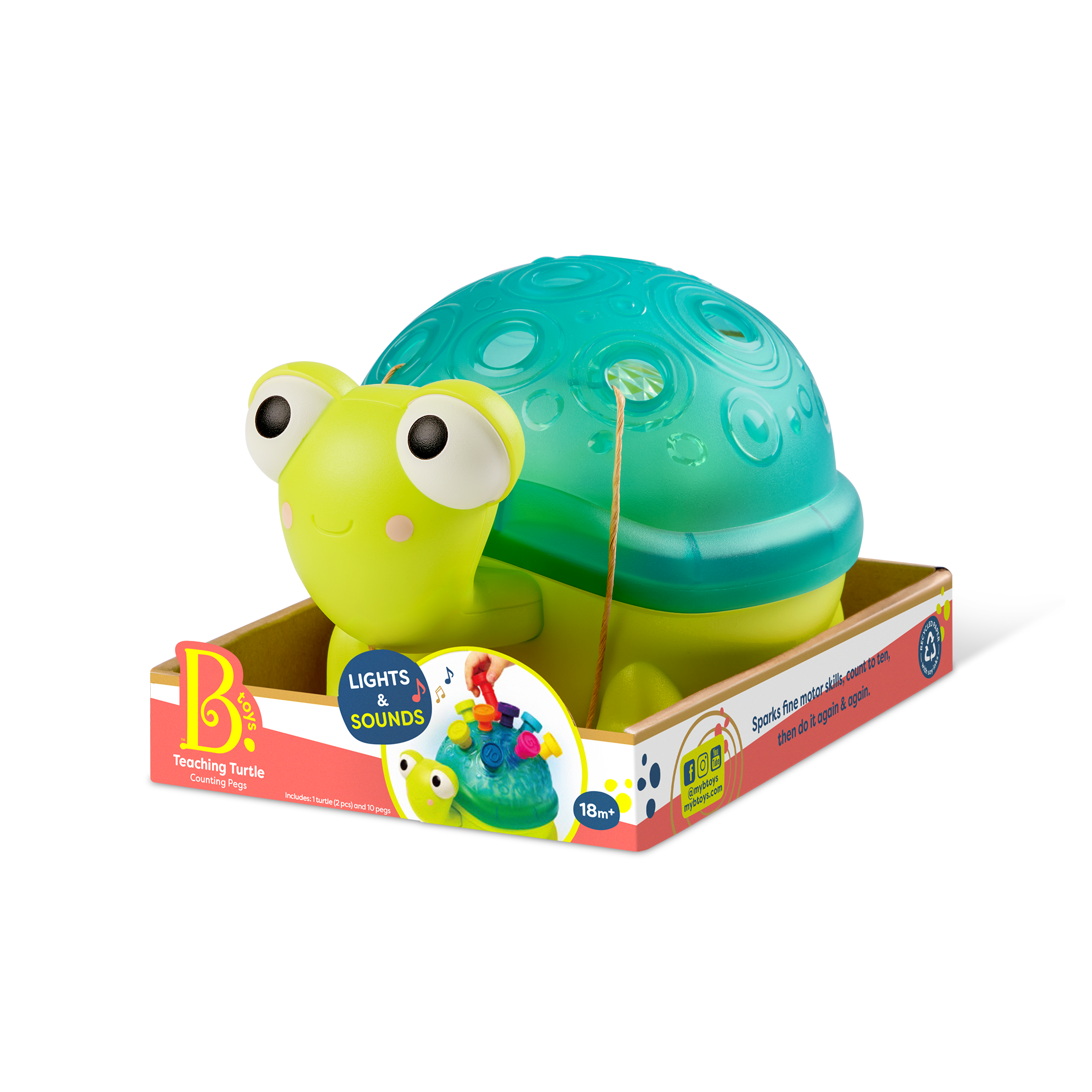 Teaching Turtle